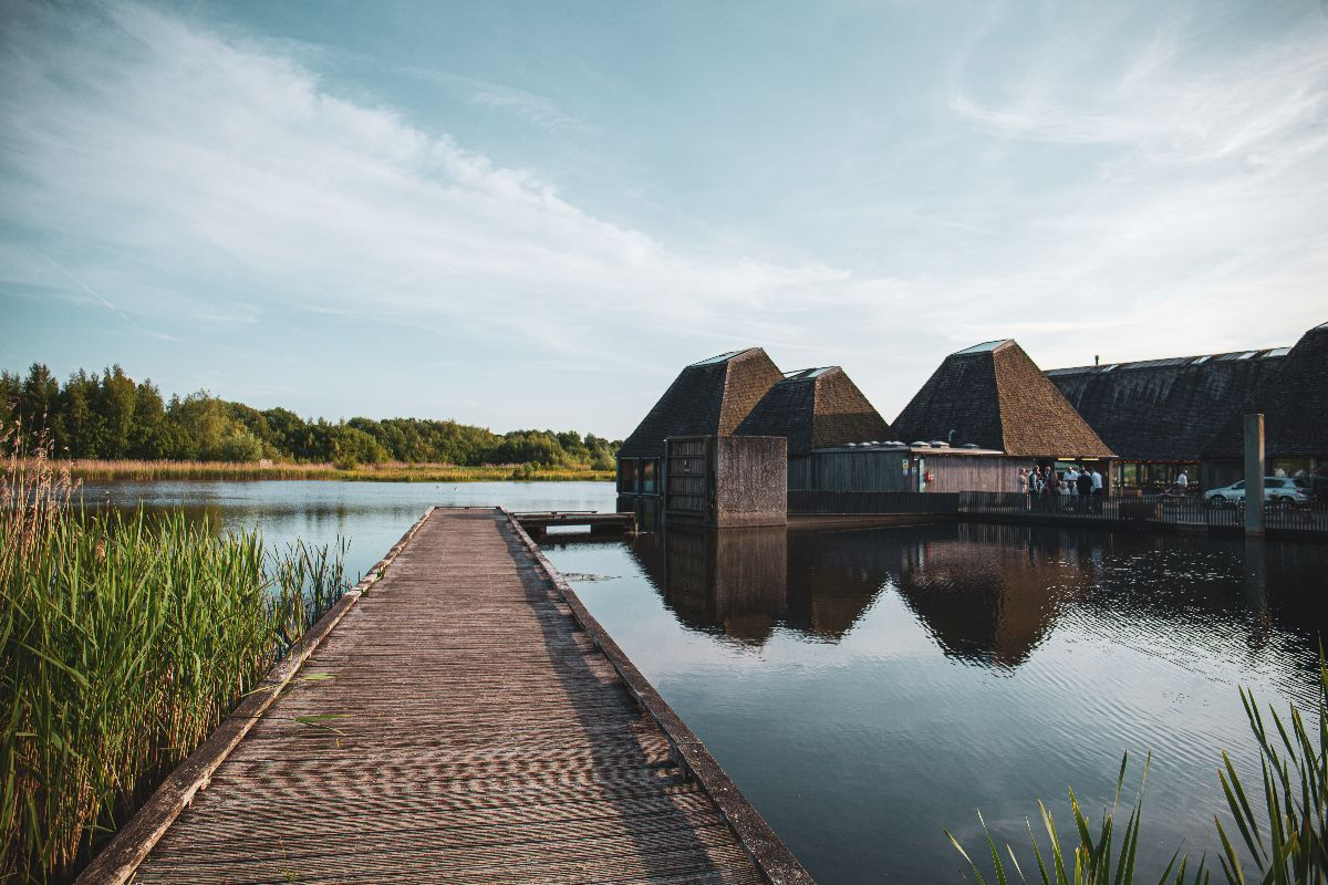 Gallery Item 1 for Brockholes Nature Reserve