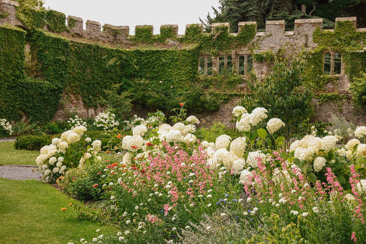 Gallery Item 6 for Thornbury Castle