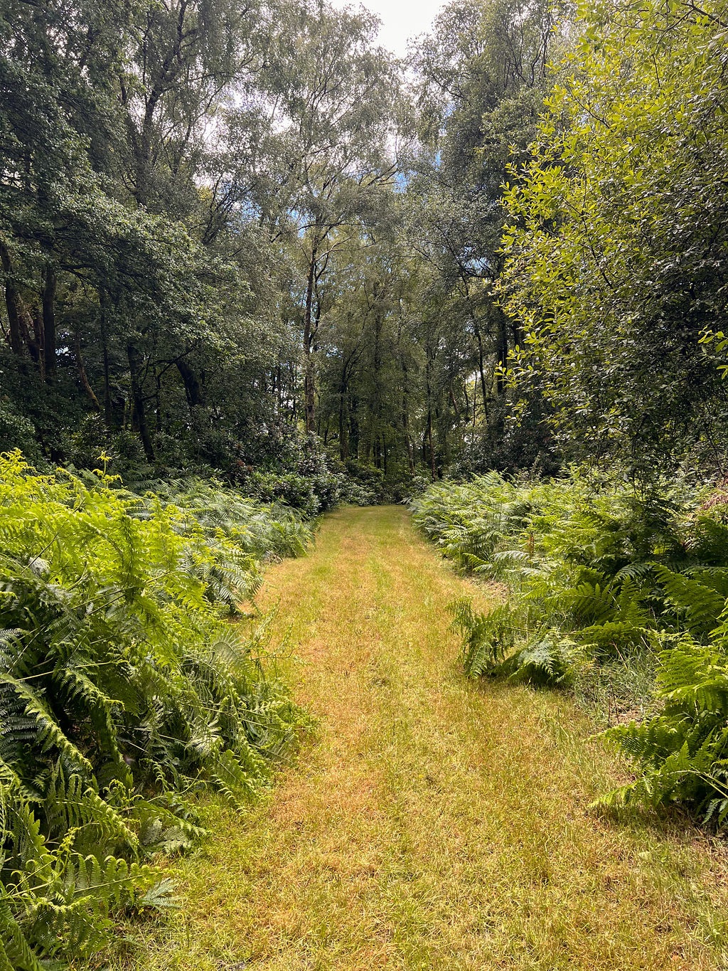 Gallery Item 11 for Hillfort Woodland Weddings